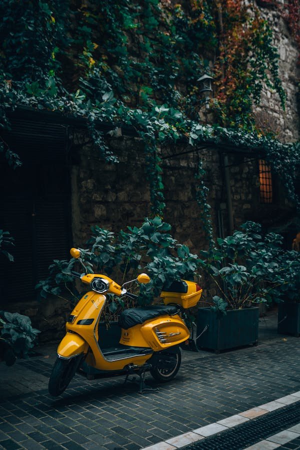 Pourquoi choisir un scooter électrique pour vos trajets quotidiens ?