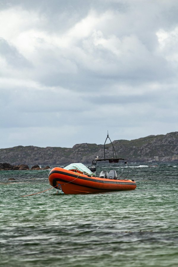 Prix zodiac neuf : quelles options s'offrent à vous ?